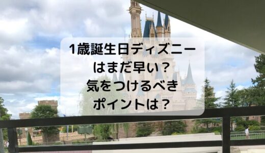 1歳誕生日にディズニーはまだ早い？気をつけるべきポイントは？