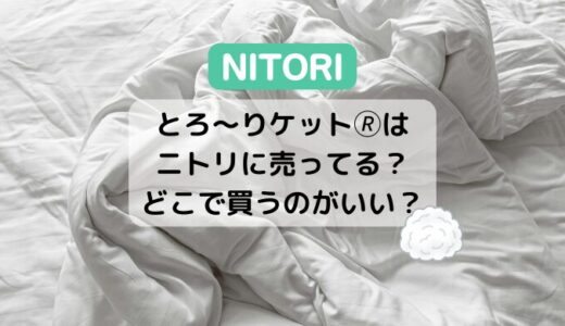 とろーりケットはニトリに売ってる？どこで買うのがいい？