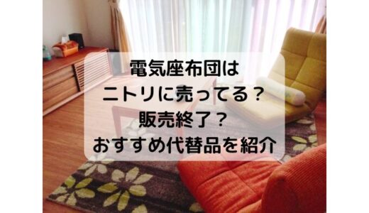 電気座布団はニトリに売ってる？販売終了？おすすめ代替品を紹介