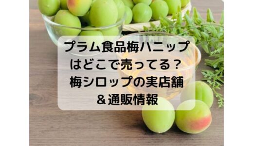 プラム食品の梅ハニップはどこで売ってる？梅シロップの実店舗＆通販情報