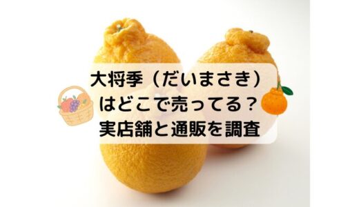 大将季（だいまさき）はどこで売ってる？実店舗と通販を調査