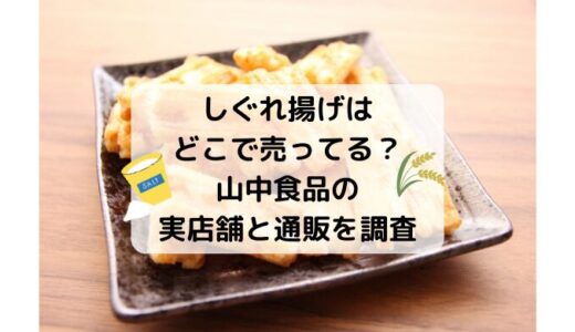 しぐれ揚げはどこで売ってる？山中食品の実店舗と通販を調査